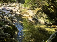 -大鄣山卧龙谷景区