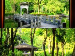 -深圳国际园林花卉博览园