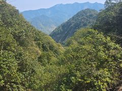 -广州市石门国家森林公园