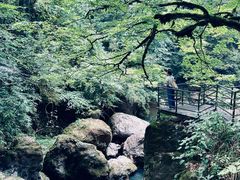 -龙苍沟森林公园