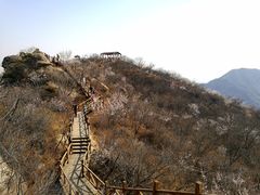 -大岭沟猕猴桃谷风景区