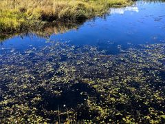 -泸沽湖国家级风景名胜区走婚桥