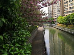 -全家便利店(兴源北路店)