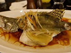 -圣丰索菲特·2 On 988 Café 自助餐厅