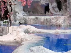 -中铁花水湾温泉酒店(大邑店)
