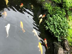 -聚福宝合苑食府(南头镇店)