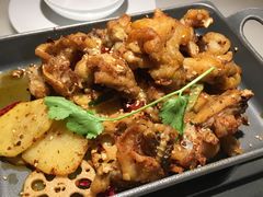 -佬肥猫(国华广场店)