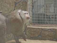 -黔灵山公园