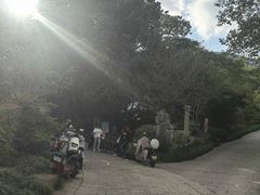 -杭州半山国家森林公园