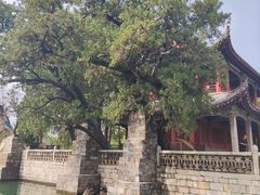 -百泉景区