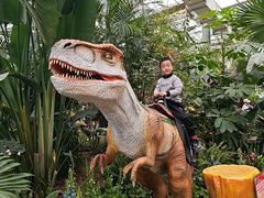 -沈阳植物园