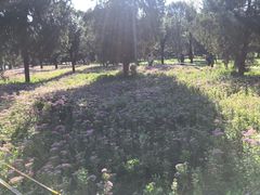 -东坝千亩湖公园