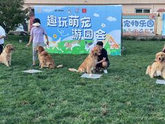 -趣玩宠物乐园寄养训犬训狗游泳池
