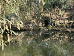 -庐山风景区花径公园