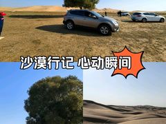 -亿利库布其七星湖沙漠生态旅游区