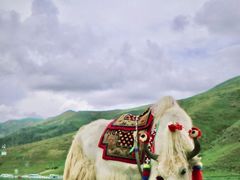 -羊卓雍措