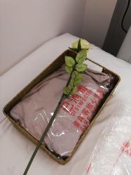 -OAE日式皮肤管理お肌の