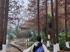 -重庆彩云湖湿地公园