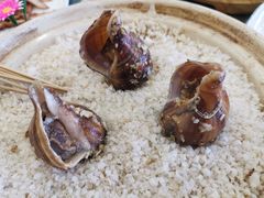 盐炯大海螺-粤盛海鲜平价店(洛溪食街店)