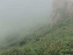 -空中草原
