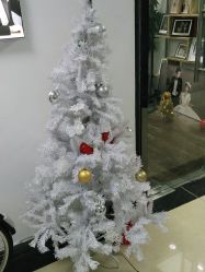 -克拉女神写真馆·匠心定制