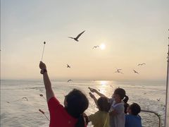 -海驴岛(荣成市)