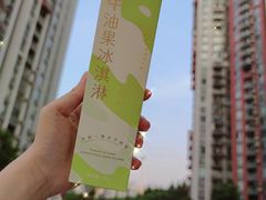 -蒲公英(五里店)