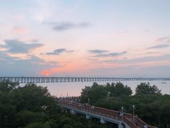 -宝安西湾红树林湿地公园