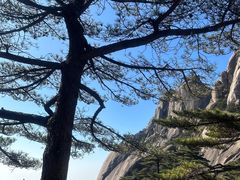 -黄山风景区