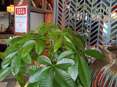 -湘当爱·鲜煮现炒(松岗立业路店)