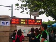 -嘉定紫藤园