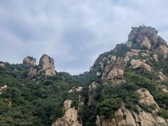 -大岭沟猕猴桃谷风景区