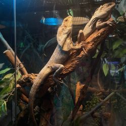 -Zoolung Zoolung动物主题公园(海信广场店)