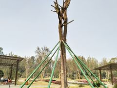 -府河摄影公园