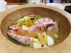 石锅鱼-七采菌园·野生菌石锅鱼(环城北路店)