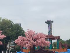 -南湖梦幻岛