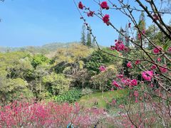 -桃花涧