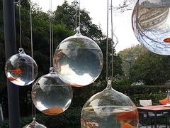 -杭州君悦酒店·青莳