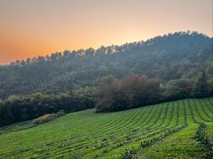 -敬亭山风景名胜区
