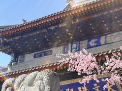 -云座·时光·观景咖啡厅(五爷庙店)