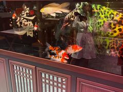 -山南熏肉大饼(辽菜旗舰店)