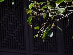 -陈白沙纪念馆