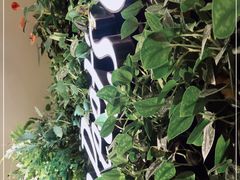 -Peet's Coffee皮爷咖啡(德基店)