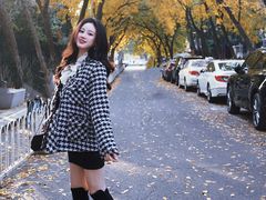 -三里屯东五街银杏大道