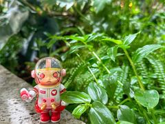 -泡泡玛特POPMART(凯德大峡谷店)