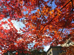 -北京友谊宾馆·俄罗斯餐厅