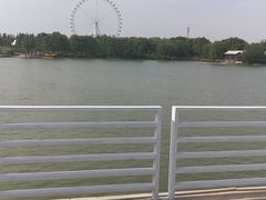 -石家庄市植物园