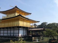 -豆政(金閣寺境内売店)
