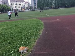 -上海外国语大学(虹口校区)