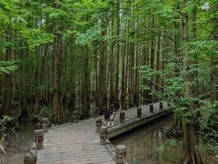 -桤木河湿地公园